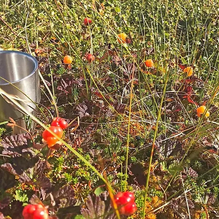 6 Person In Sollia-by Traum 펜션