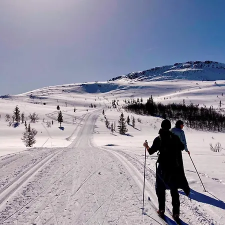 Feriehus 6 Person In Sollia-by Traum *